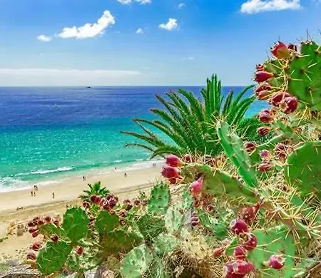 Apartment Caleta Relax - Fuerteventura La Oliva